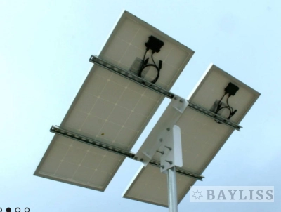 картинка UMBRELLA 2x1000 от магазина BAYLISS